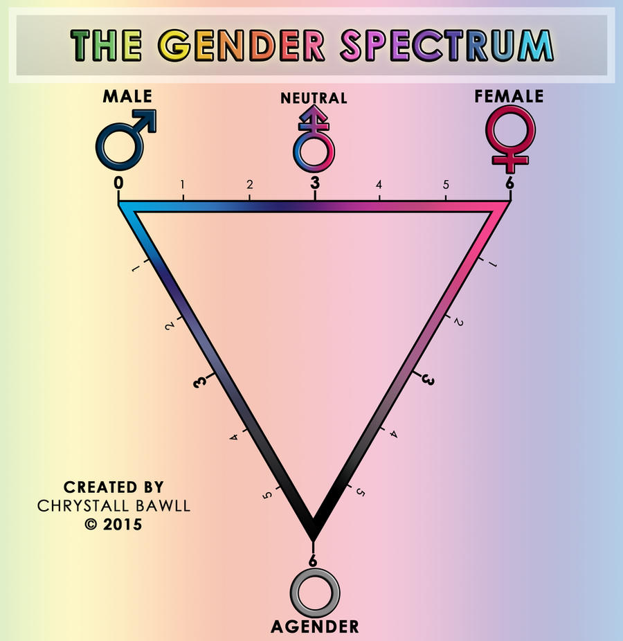 The Gender Spectrum Scale