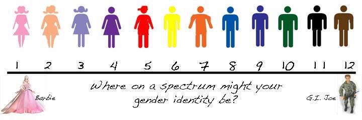 A classic gender 'spectrum' scale